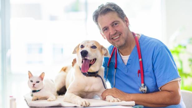 Tierarzt in blauer Kleidung lächelt mit Hund und Katze auf dem Behandlungstisch.
