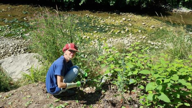 Person in blauer Kleidung hockt am Bach und arbeitet zwischen Pflanzen.