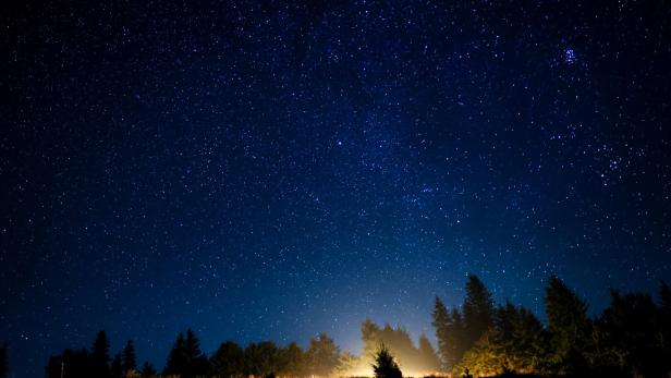 Sternenreicher Nachthimmel über dunklem Wald, am Horizont leuchtet warmes Licht.