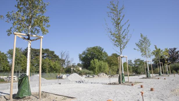 Schwammstadtprinzip umgesetzt im Versuchsgarten der HBLFA Schönbrunn.