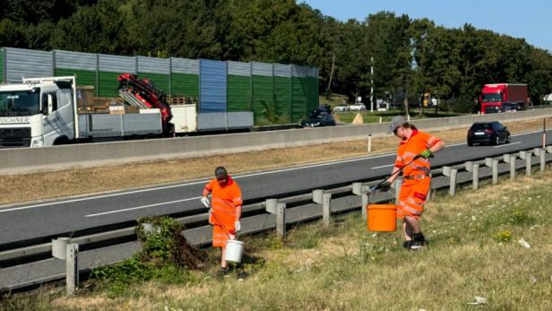 Zwei Männer in oranger Warnkleidung sammeln neben der Autobahn Müll ein.