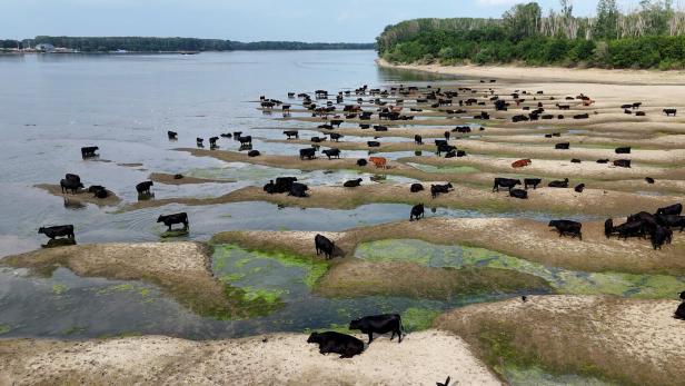 Water levels of the Danube river in Romania fell to their lowest levels in three decade