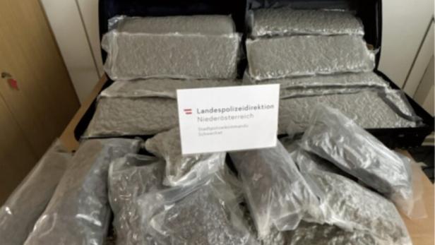 Fast 50 Kilo Cannabiskraut wurden sichergestellt.