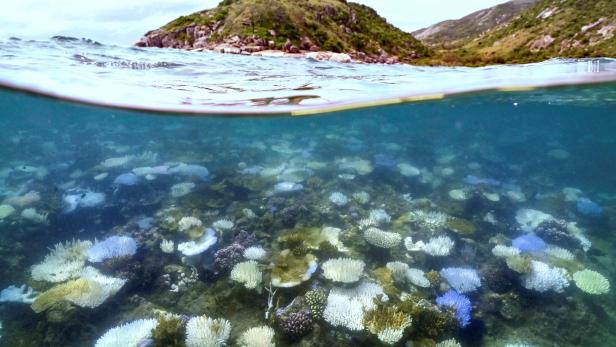 FILES-AUSTRALIA-CLIMATE-ENVIRONMENT-OCEANS-COP30