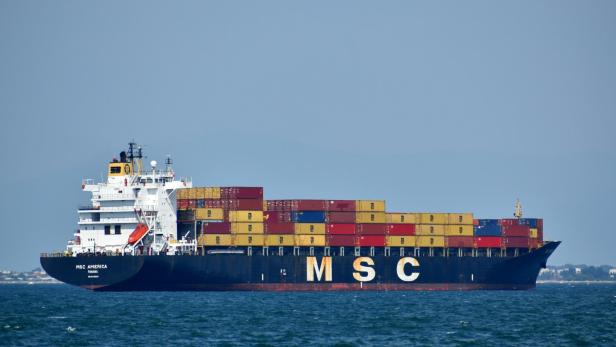 Blau-weißes-Containerschiff auf See tagsüber