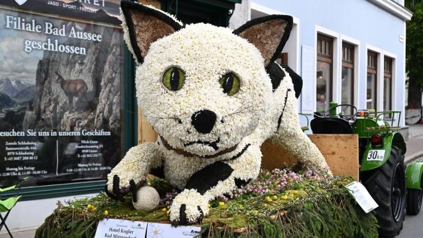 Mit Blumen geschmückte Katzenfigur auf einem Festwagen vor einem Geschäft.
