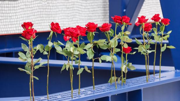 Mehrere rote Rosenstiele stehen in einer blauen Metallstruktur.
