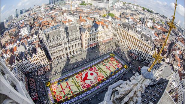 Tapis de Fleurs - Bloementapijt - Flower Carpet_EDAN1256_Â© visit.brussels - Eric Danhier