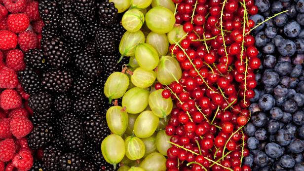 Farbige Beeren und Früchte in senkrechten Reihen: Himbeeren, Brombeeren, grüne Stachelbeeren, rote Johannisbeeren und Blaubeeren.