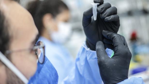 Genomic sequencing and testing of potential drugs to combat the coronavirus