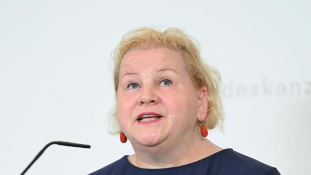 MINISTERRAT: SCHUMANN (SPÖ)