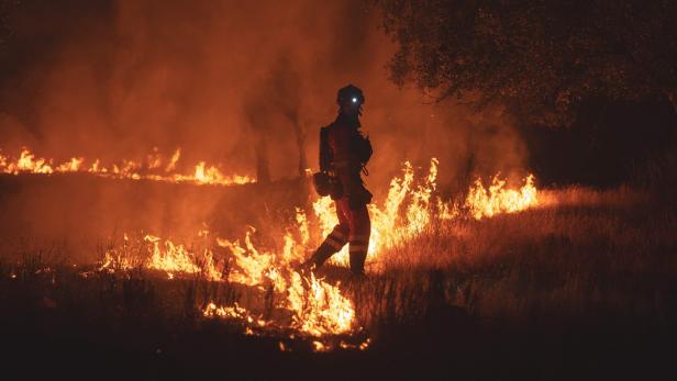 Ein Feuerwehrmann in Schutzkleidung geht bei Nacht durch ein brennendes Waldgebiet.