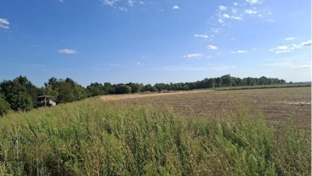 Weite Felder unter blauem Himmel mit vereinzelten Wolken und Baumreihe am Horizont.