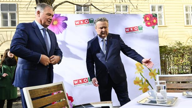 ++ ARCHIVBILD ++ CAUSA RUCK - WIENER WK-CHEF VOR PARTEIAUSSCHLUSS AUS ÖVP