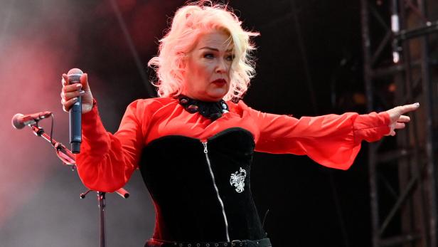 Donauinselfest open-air festival in Vienna