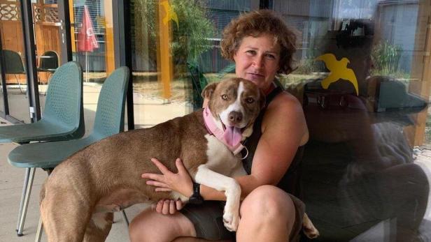 Eine Frau und ein Hund sitzen vor einer Glasfront