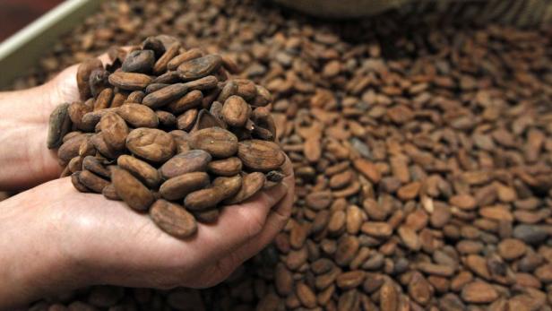 Kakao-Preis: Die rasante Achterbahnfahrt