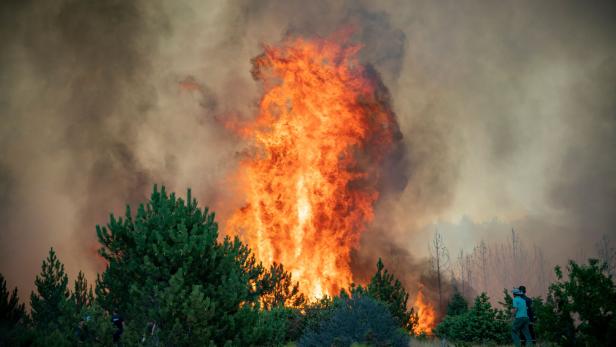 Flamme Waldbrand