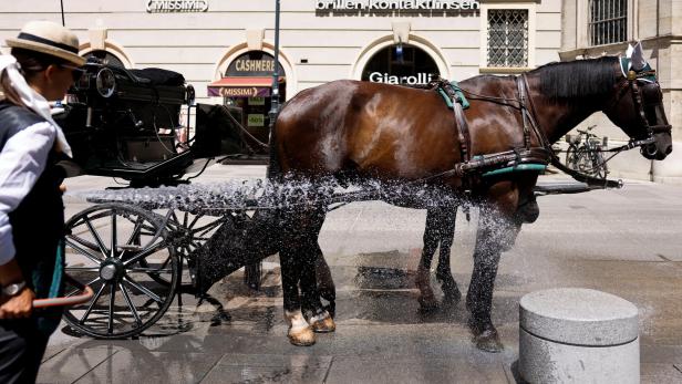 Heatwave in Vienna