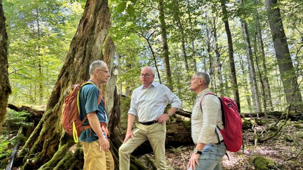 Finanzminister Marterbauer mit Pernkopf und Schöppl im Urwald