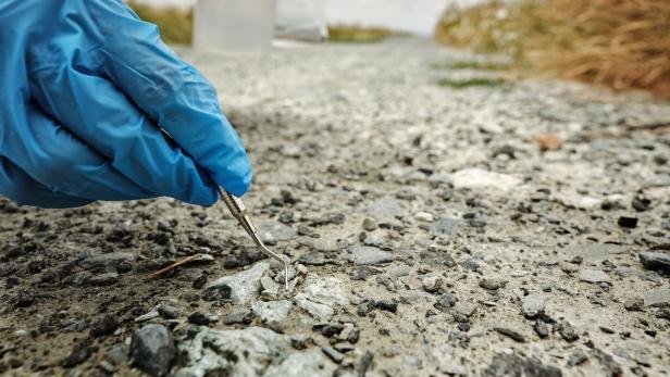Behandschuhte Hand untersucht mit einem Metallwerkzeug den rissigen Asphalt am Straßenrand.