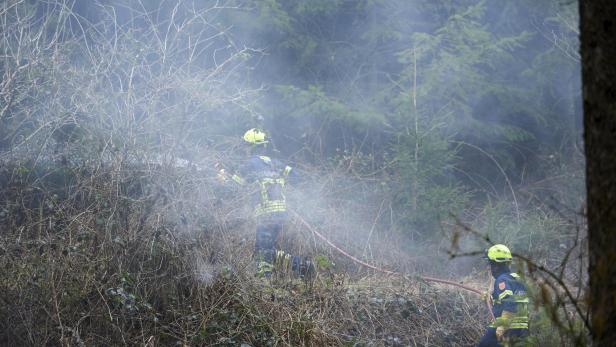 Zwei Feuerwehrleute stehen im Wald umgeben von Rauch.
