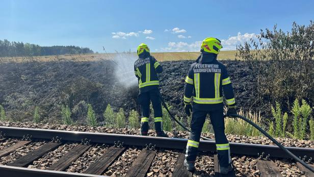 Zwei Feuerwehrleute löschen von den Gleisen aus eine schwarze Wiese.