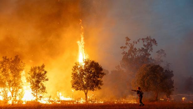 Spanish and French firefighters feeling the strain of tackling huge wildfires