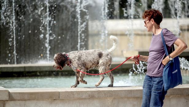 Italian authorities place number of cities under red alert amid new heatwave