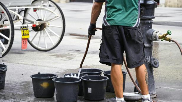 ++ THEMENBILD ++ WASSER / WASSERKNAPPHEIT / TRINKWASSER / TRINKBRUNNEN / HITZE / KLIMAKRISE / WASSERVERSORGUNG / FIAKER / TOURISMUS