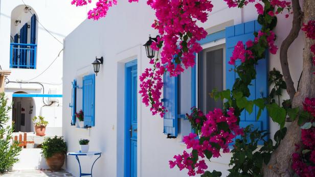 Weiße Häuser mit blauen Fensterläden und pinken Bougainvillea-Blüten.