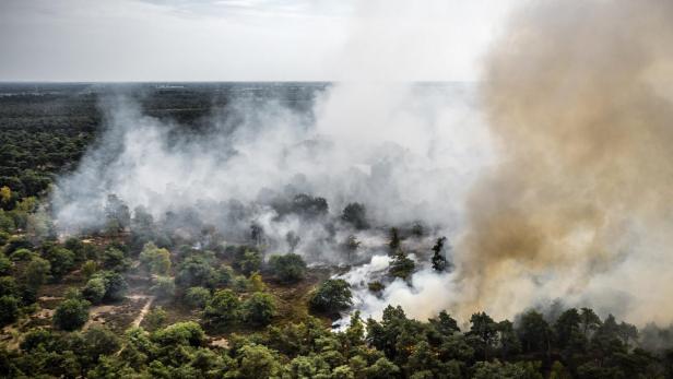 Wildfire breaks out in Rosmolen nature reserve in northern Limburg