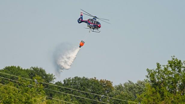 WIEN: FEUERWEHREINSATZ WEGEN WALDBRAND IN LOBAU