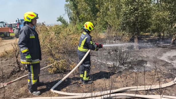 Vegetationsbrand Gänserndorf