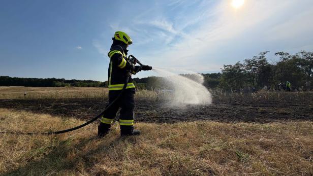  Feldbrand bei Enzersdorf im Thale