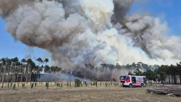Brand Föhrenwald
