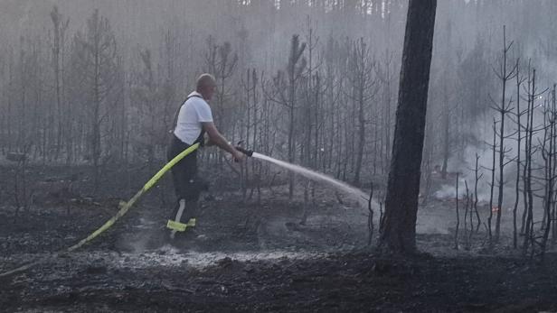 Brand Föhrenwald