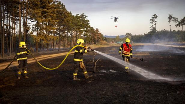 Waldbrand Föhrenwald St. Egyden 2026
