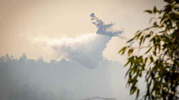 Ein Löschflugzeug wirft Wasser über einem rauchverhangenen Waldgebiet ab.