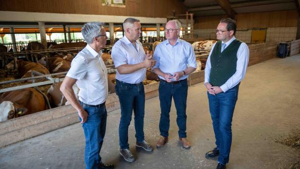 Besuch beim Milchbauern