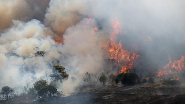 Waldbrand