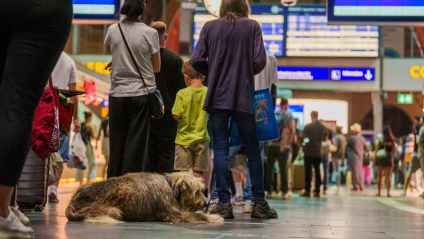 Deutsche Bahn stellt Zugverkehr ein