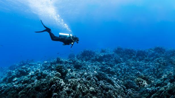 Woman Scuba Diving Over Huge Reef in Rangiroa, French Polynesia