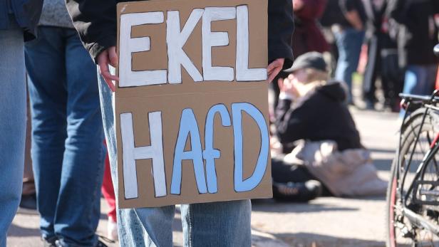  Ein linker Aktivist hält ein Schild mit der Aufschrift "EKEL HAfD". Mehrere hundert Menschen protestieren gegen den Landesparteitag der AfD Sachsen-Anhalt im Frühjahr 2026.