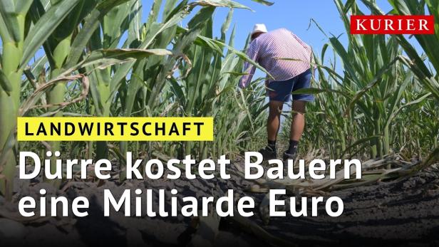 Dürre kostet Österreichs Bauern eine Milliarde Euro