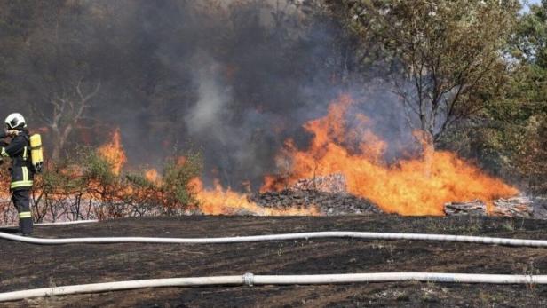 Waldbrand im Kamptal