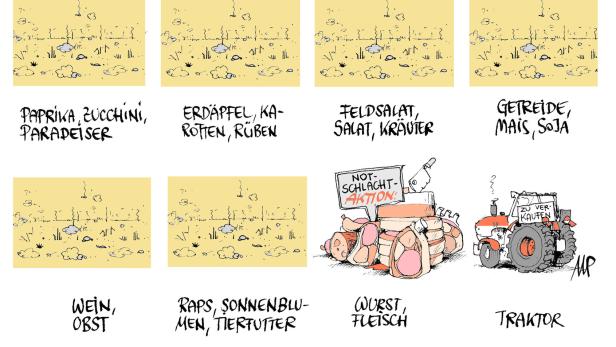 Karikatur Michael Pammesberger