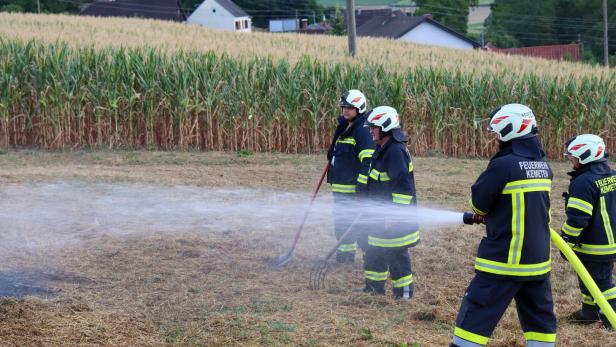 Feuerwehrleute löschen einen kleinen Brand am Feldrand vor einem Maisfeld.