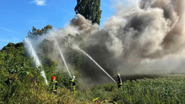 Feuerwehr bekämpft einen großen Brand auf einem Feld mit Wasserstrahlen und dichtem Rauch.