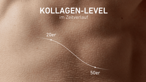Infografik zum Kollagen-Level im Zeitverlauf von 20 bis 50 Jahre.